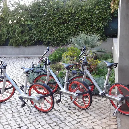 ヴィラ Beau フェラグド